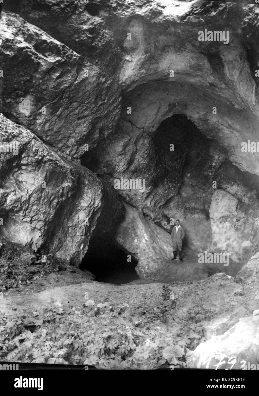 Jankovich-barlang 002 Bekey Imre Gábor. Stock Photo