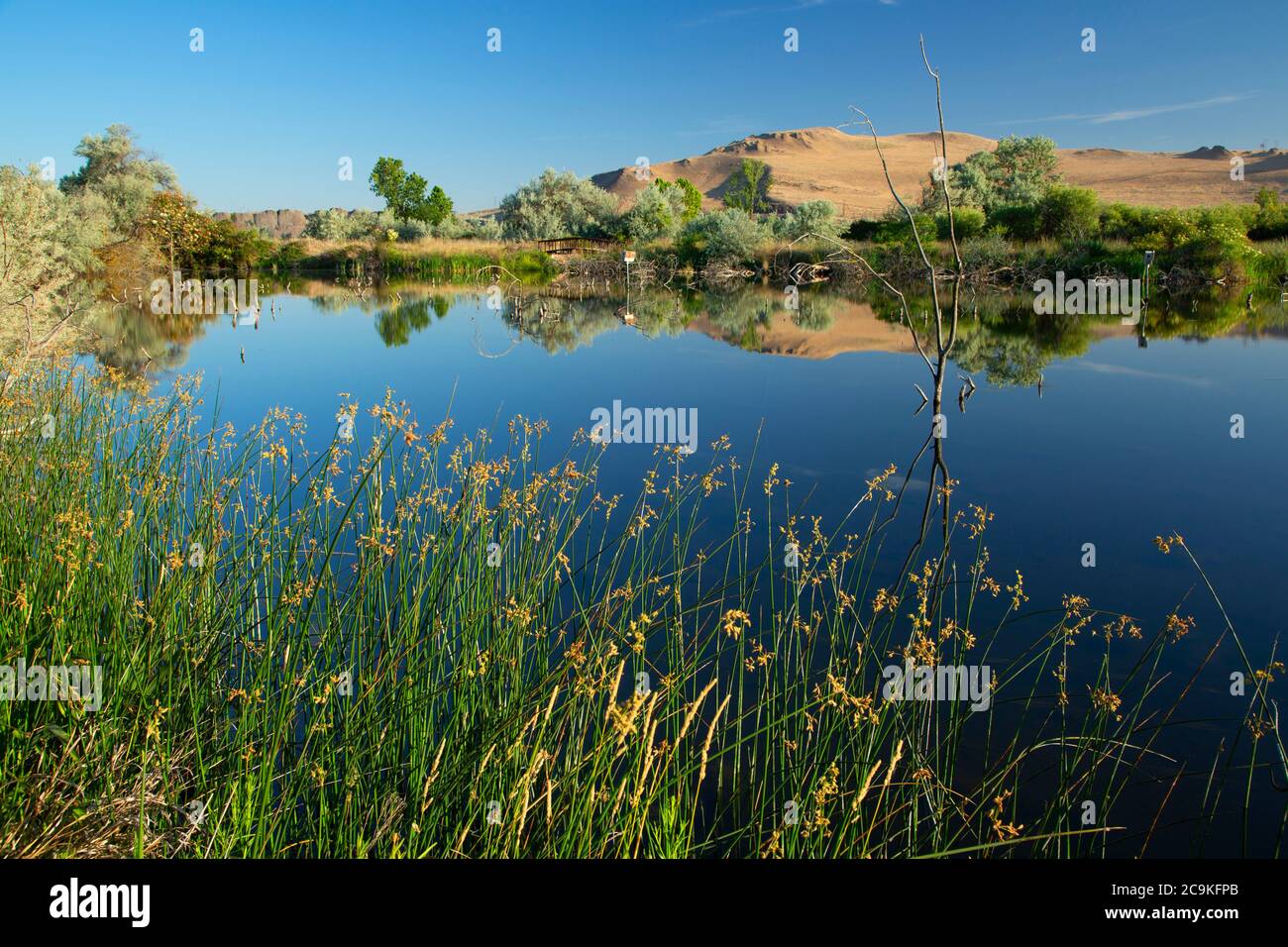 Mcnary lake hires stock photography and images Alamy