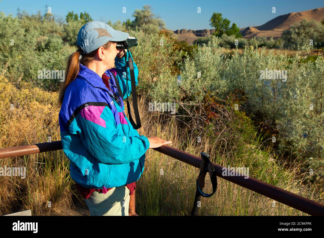 Birding, McNary Wildlife Nature Area, Oregon Stock Photo