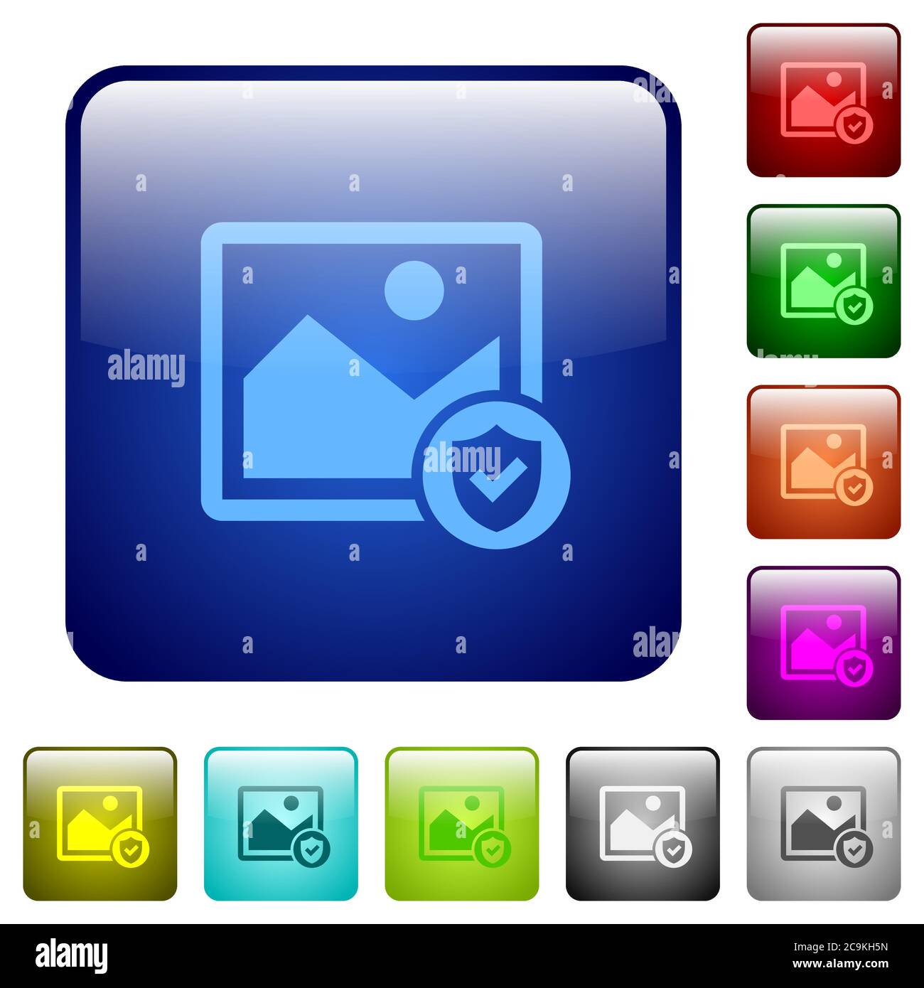 Protected image icons in rounded square color glossy button set Stock Vector
