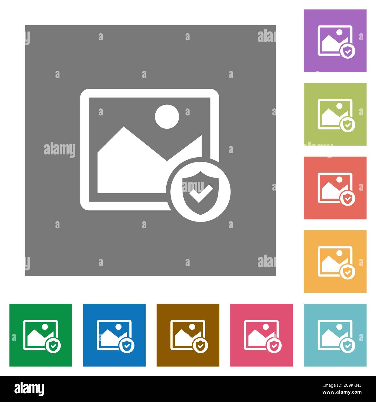 Protected image flat icons on simple color square backgrounds Stock Vector