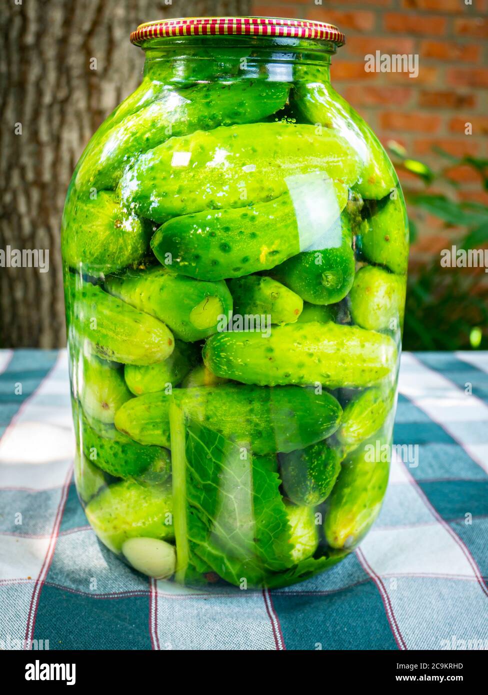 Download Pickle Jar Lid High Resolution Stock Photography And Images Alamy