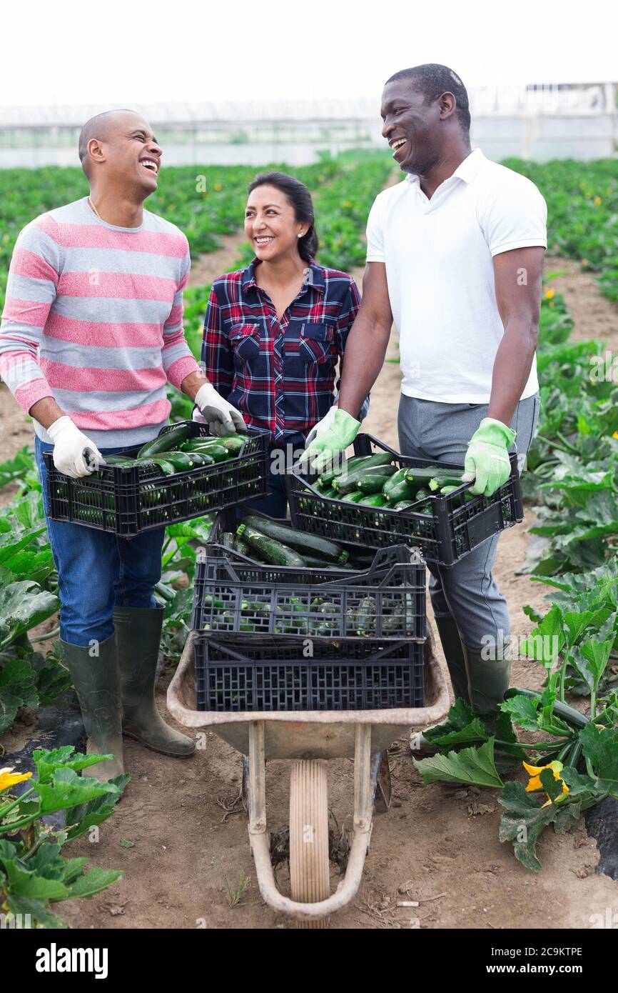 Portrait of successful male and female farmers of different ...