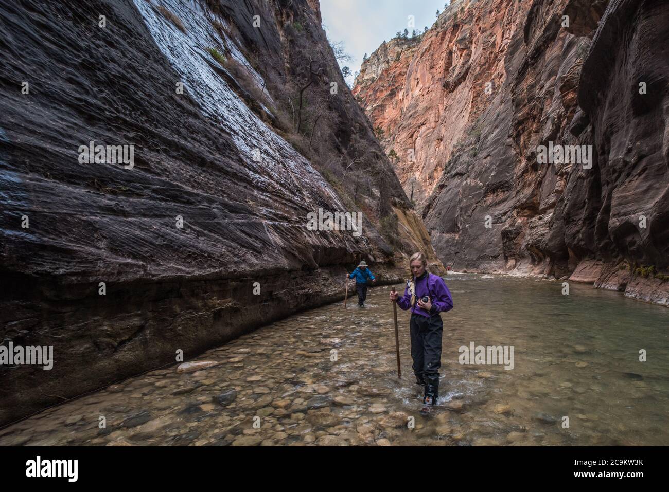 The narrows hike in Zion National park involves walking and wading through the virgin river at the bottom of a beautiful canyon. Stock Photo