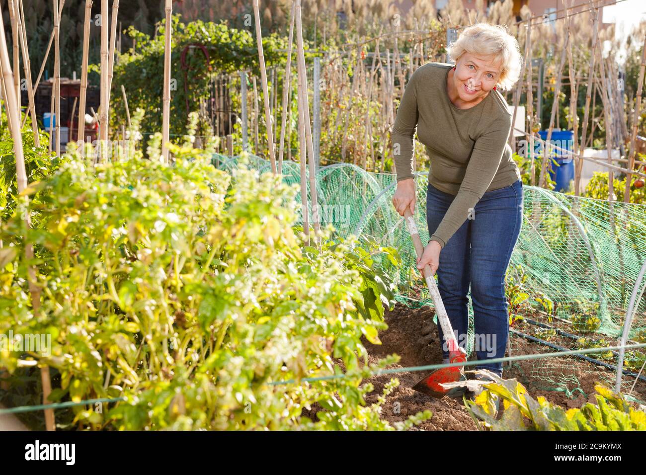 Mature Woman Gardening With Hoe In Her Hands In Backyard Garden Stock 
