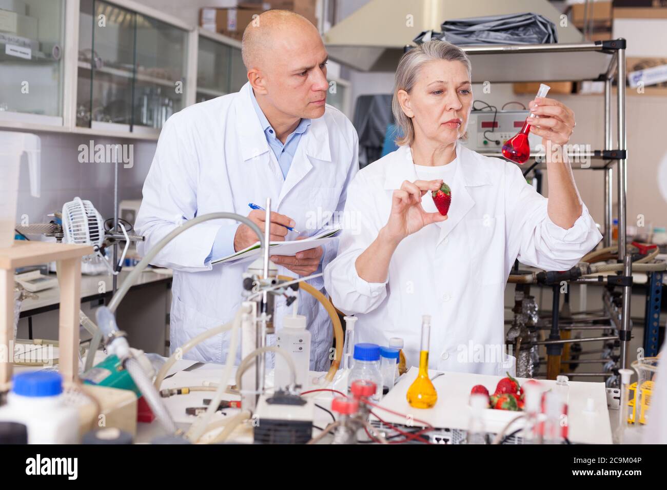 Two experienced biochemists checking fruits and vegetables for nitrates ...