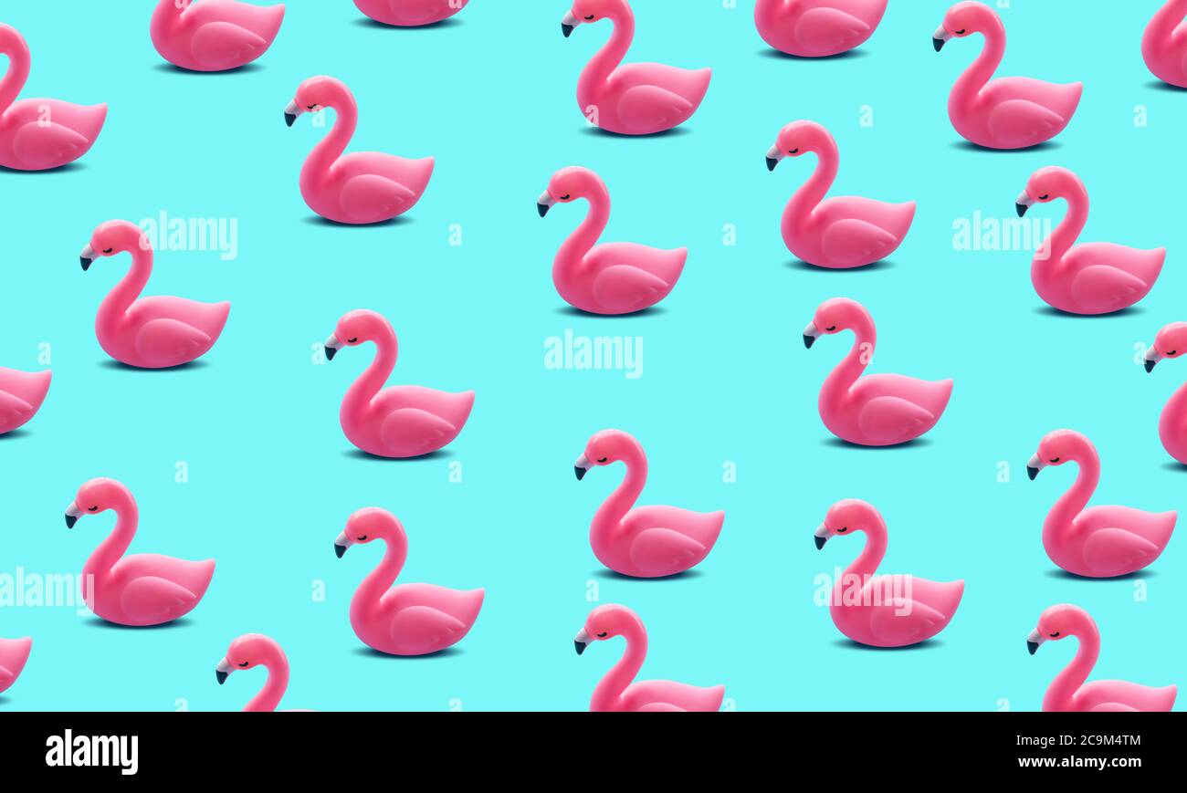 Pink flamingo set on bule color background Stock Photo