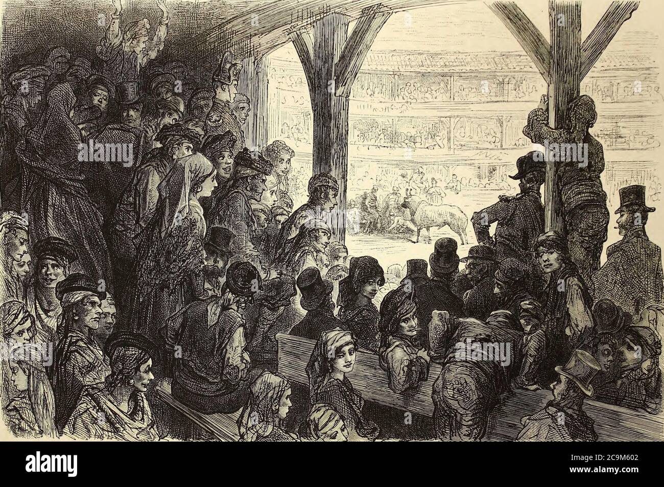 Corrida De Novillos Donnee Par Les Etudiants A Valladolid Bullfight Corrida De Novillos Given By The Students In Valladolid Page Illustration From The Book Spain L Espagne By Davillier Jean Charles Baron 13 18 Corrida De Novillos Donnee Par Les Etudiants A Valladolid Bullfight Corrida De Novillos Given By The Students In Valladolid Page Illustration From The Book Spain L Espagne By Davillier Jean Charles Baron 13 18