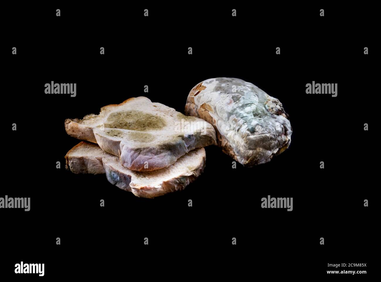 Beautiful moldy bread on black color background.healthy and food concepts.biology and science. Stock Photo