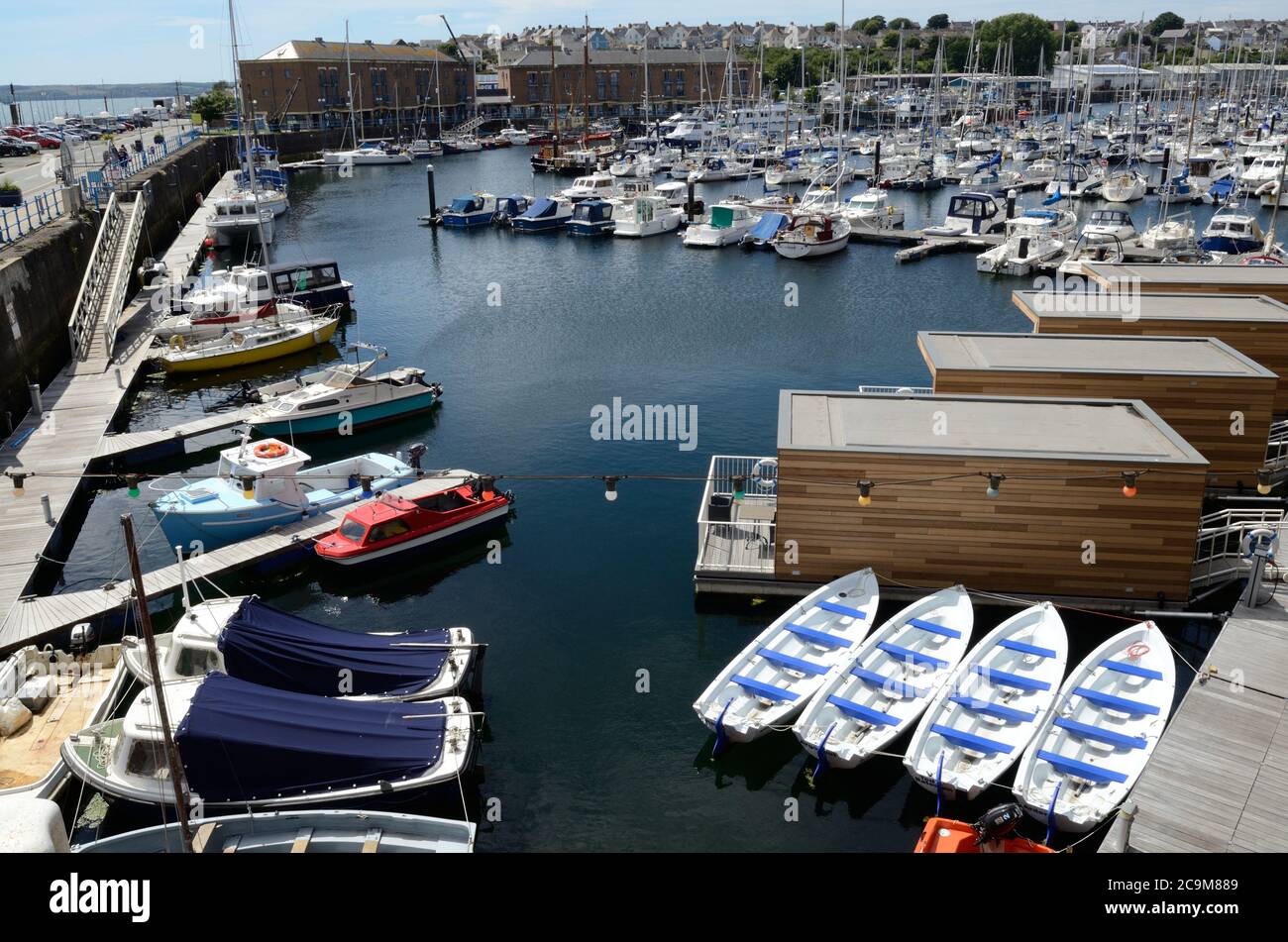 Boats moored at Milford Haven Marina Pembrokeshire Wales UK Stock Photo