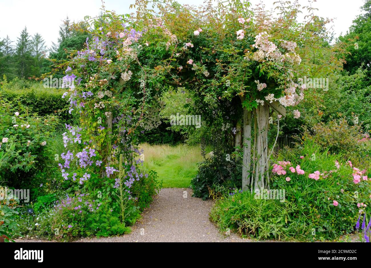 Trellis with climbing roses hi-res stock photography and images - Alamy