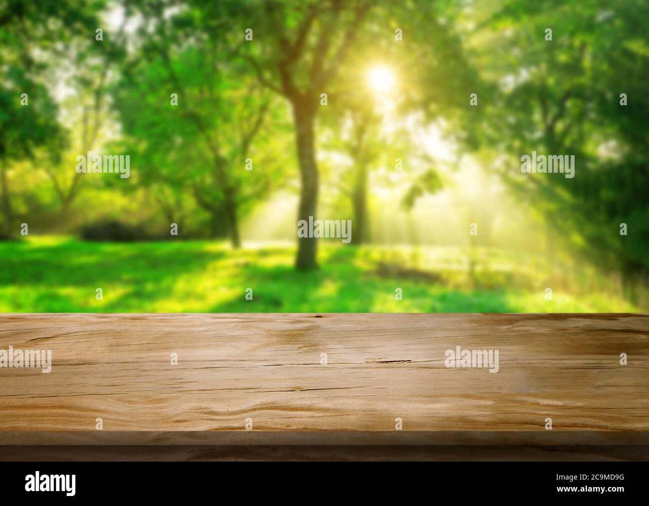 Brown wood table in green blur nature background. Stock Photo