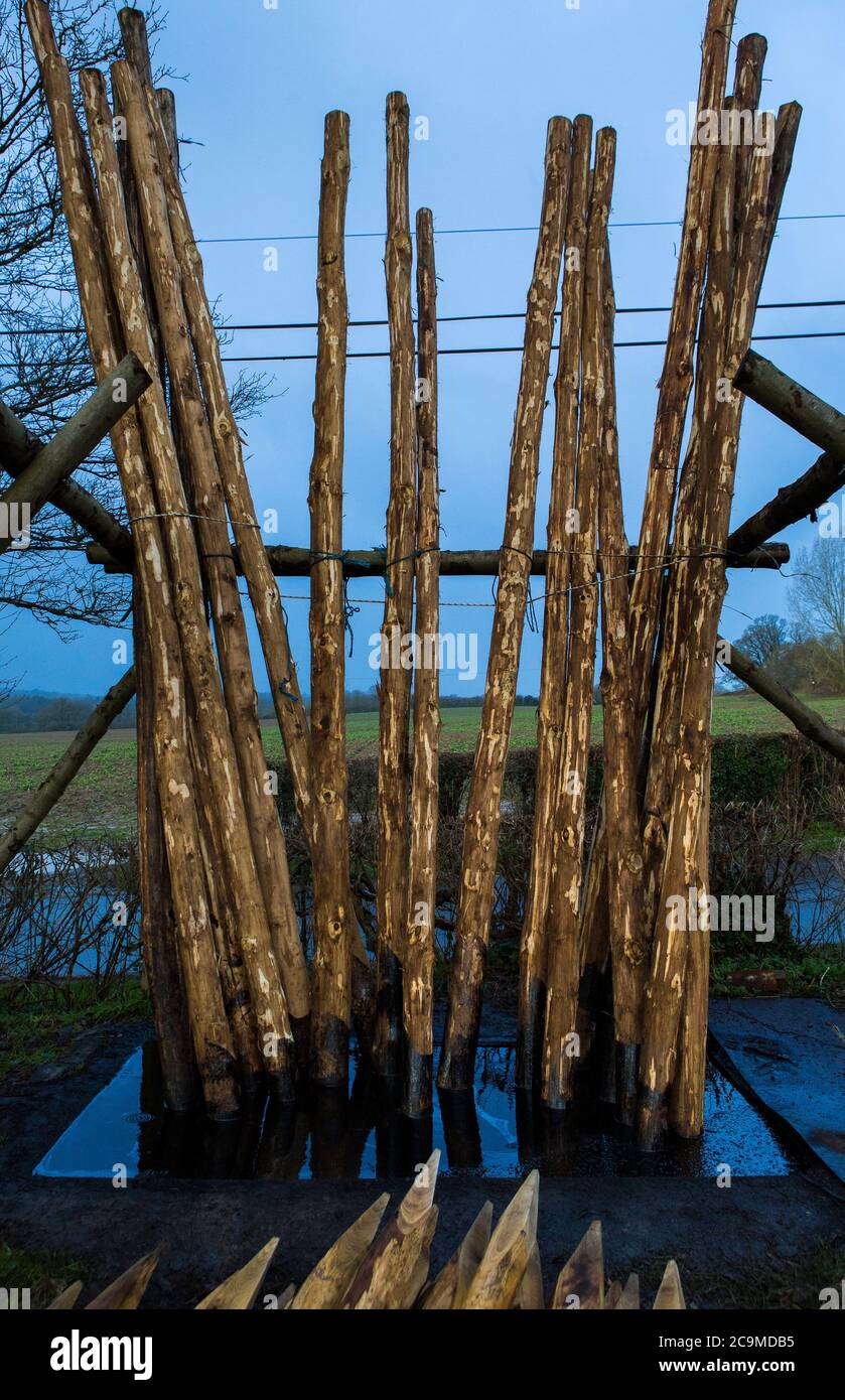 Creosote poles hi-res stock photography and images - Alamy