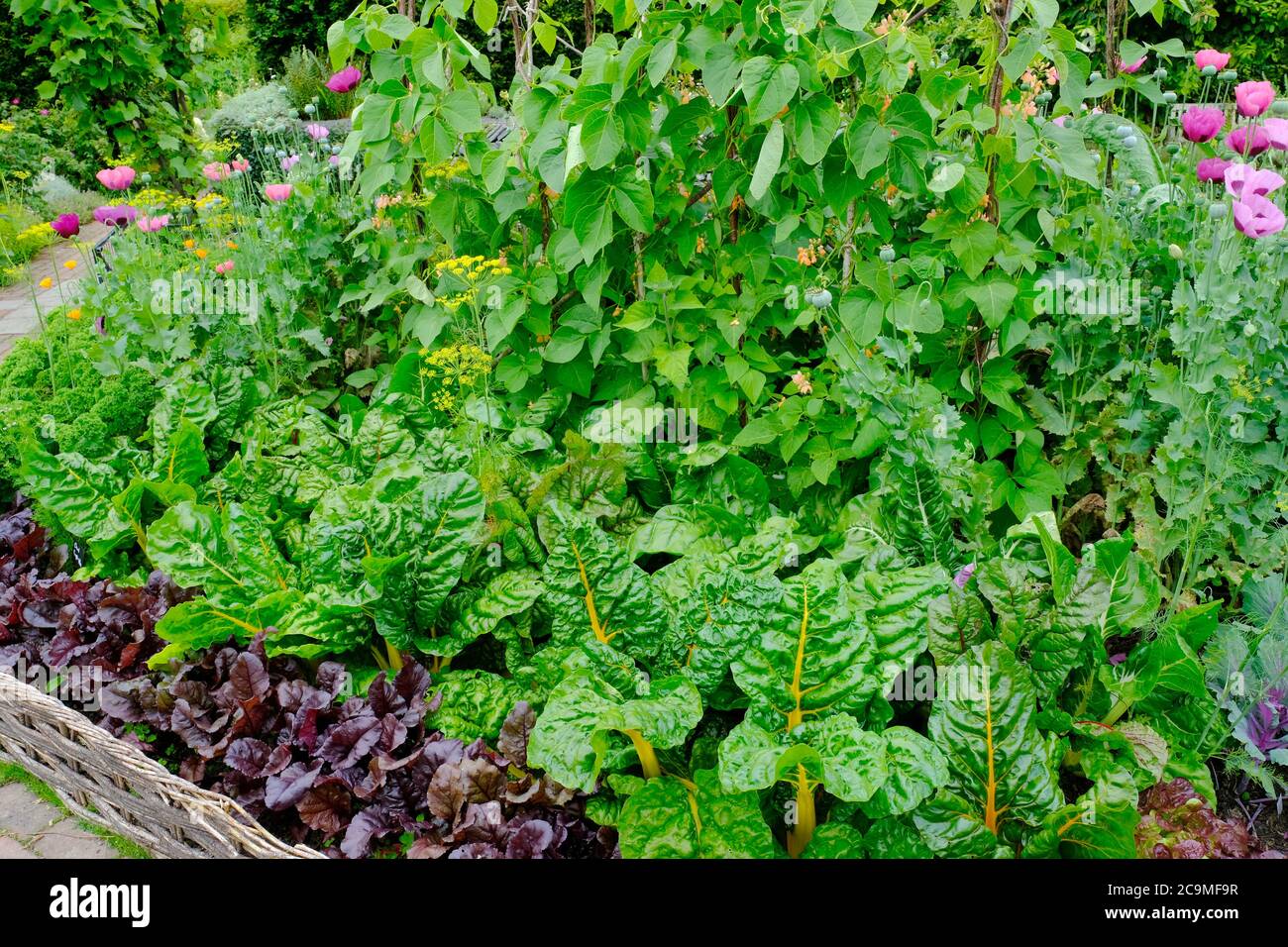 English vegetable garden hires stock photography and images Alamy