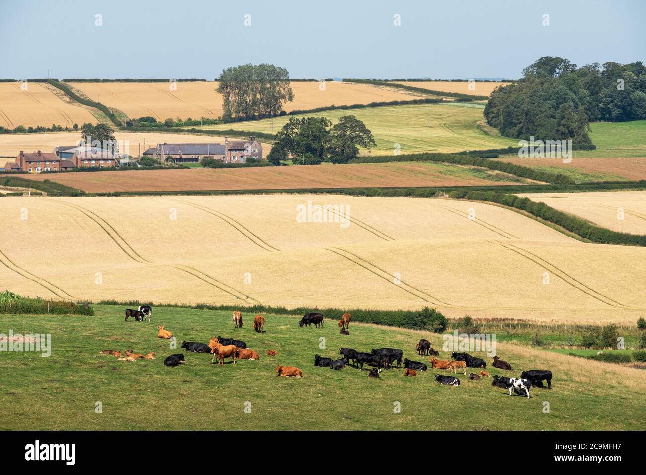 Rural scene showing farmland near Branxton, Northumberland, England. Stock Photo