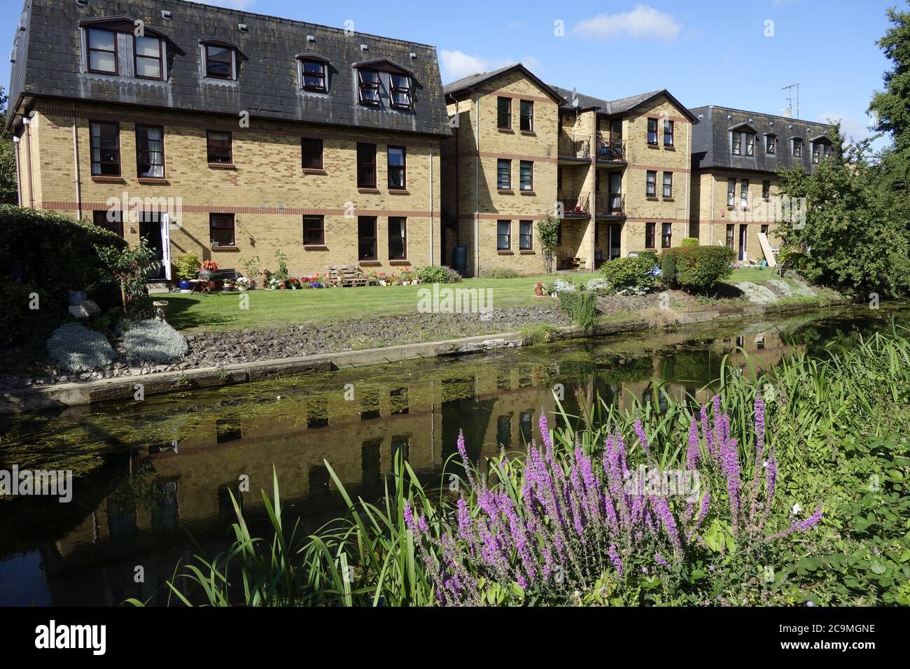 bishops stortford river stort canal walk, stort navigation, canal trust, quaint market town hertfordshire england uk great britain Stock Photo