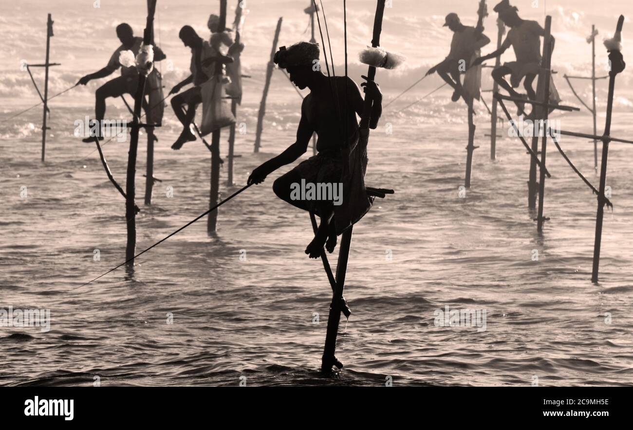 Traditional stilt fishermen near Koggala in southern Sri Lanka Stock ...