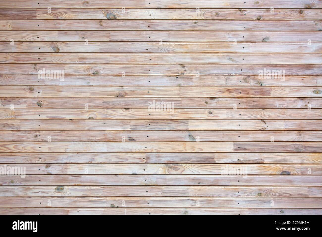 texture of a tree, wooden background Stock Photo - Alamy