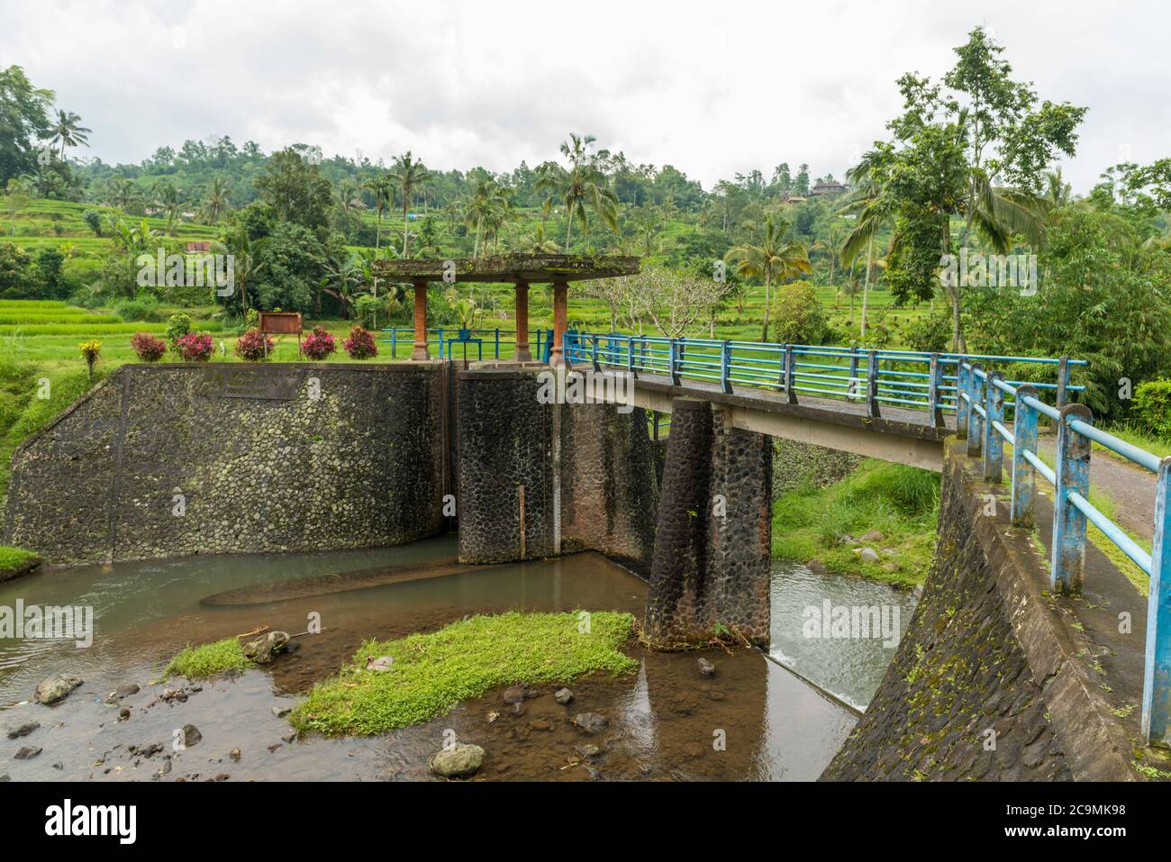 Water dam at Rice paddies Stock Photo - Alamy