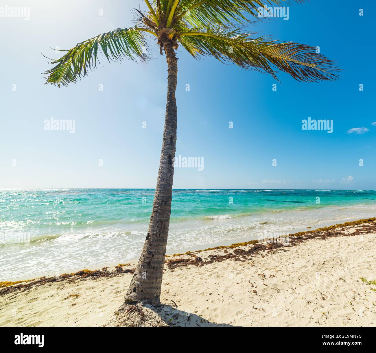 Saint clairs hires stock photography and images Alamy