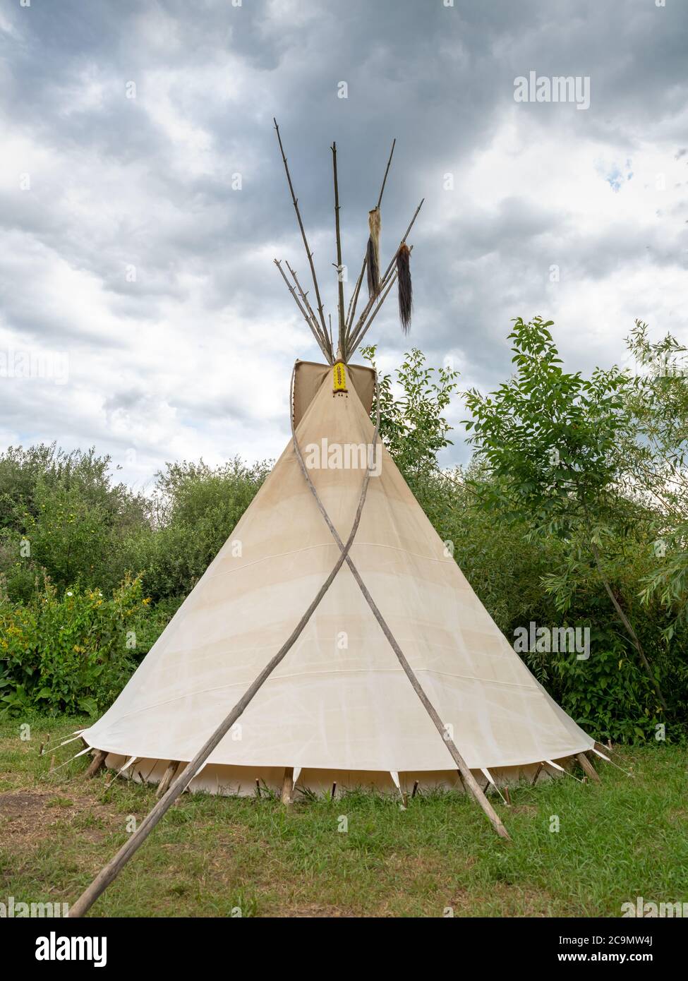 Back of a single Indian tipi stands in a meadow between trees and shrubs in the sunshine Stock Photo