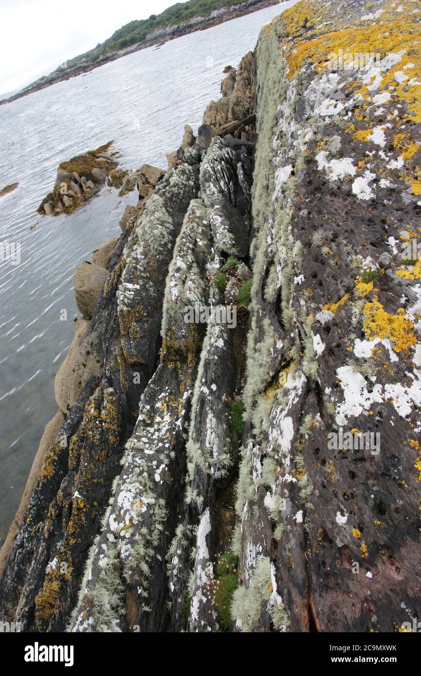 Lichen and rock pools washed by the Atlantic along Ireland's Wild Atlantic Way. Stock Photo
