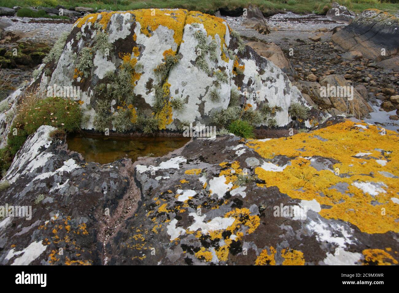Lichen and rock pools washes by the Atlantic along Ireland's Wild Atlantic Way. Stock Photo