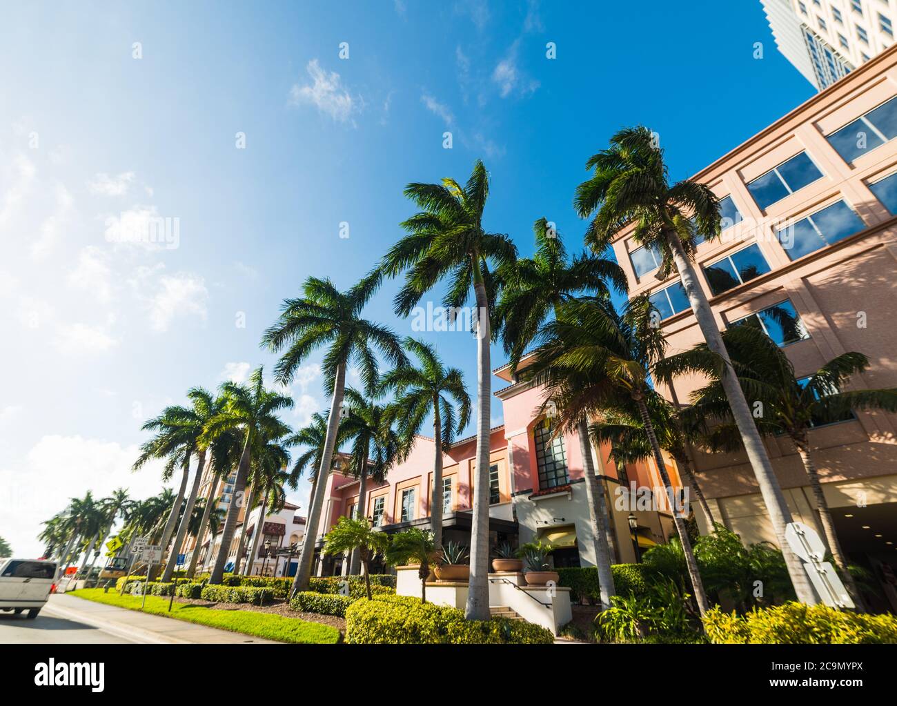 Palm trees elegant buildings hi-res stock photography and images - Alamy