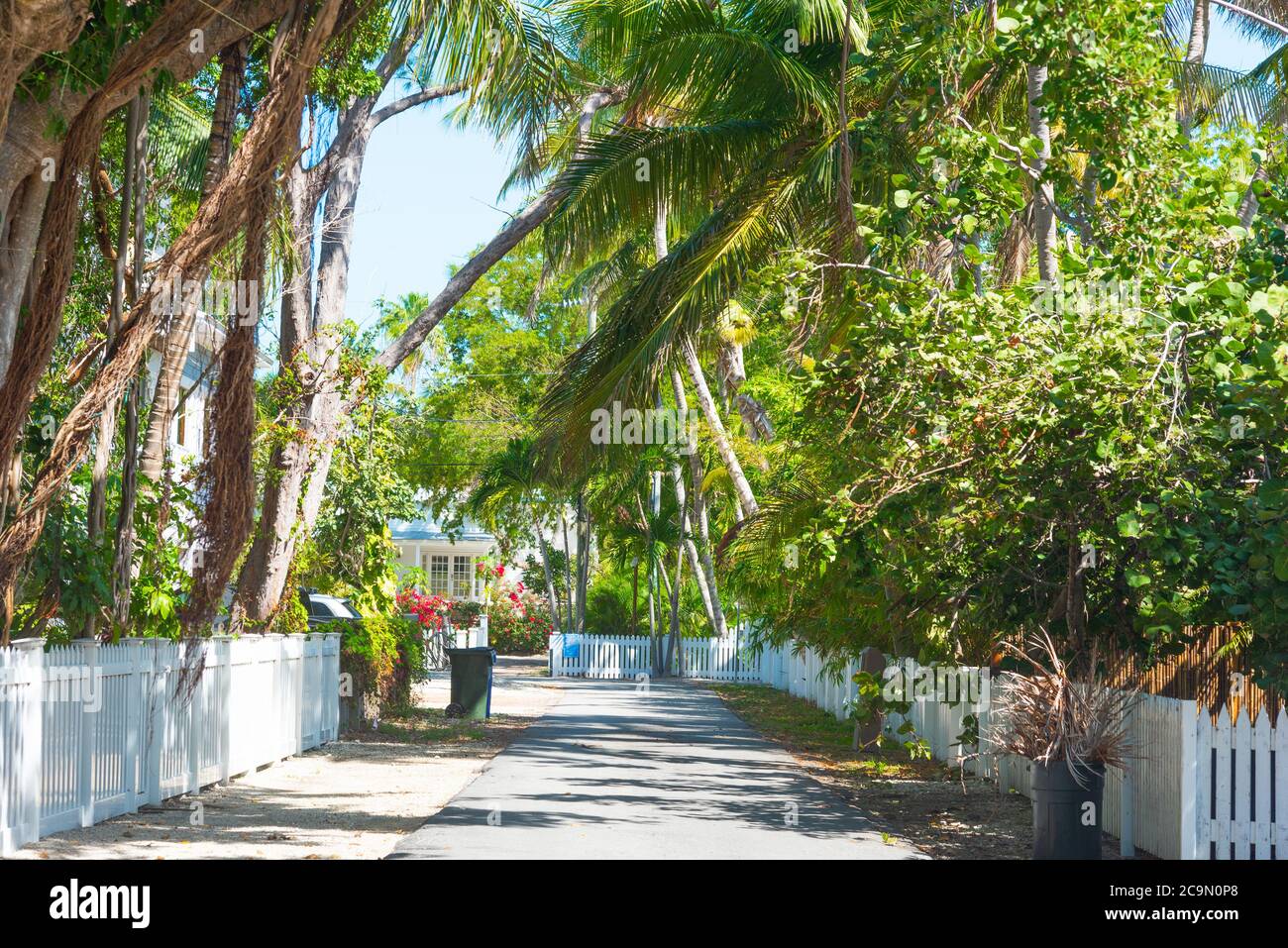 Beautiful residential street in Florida Keys. Southern Florida, USA