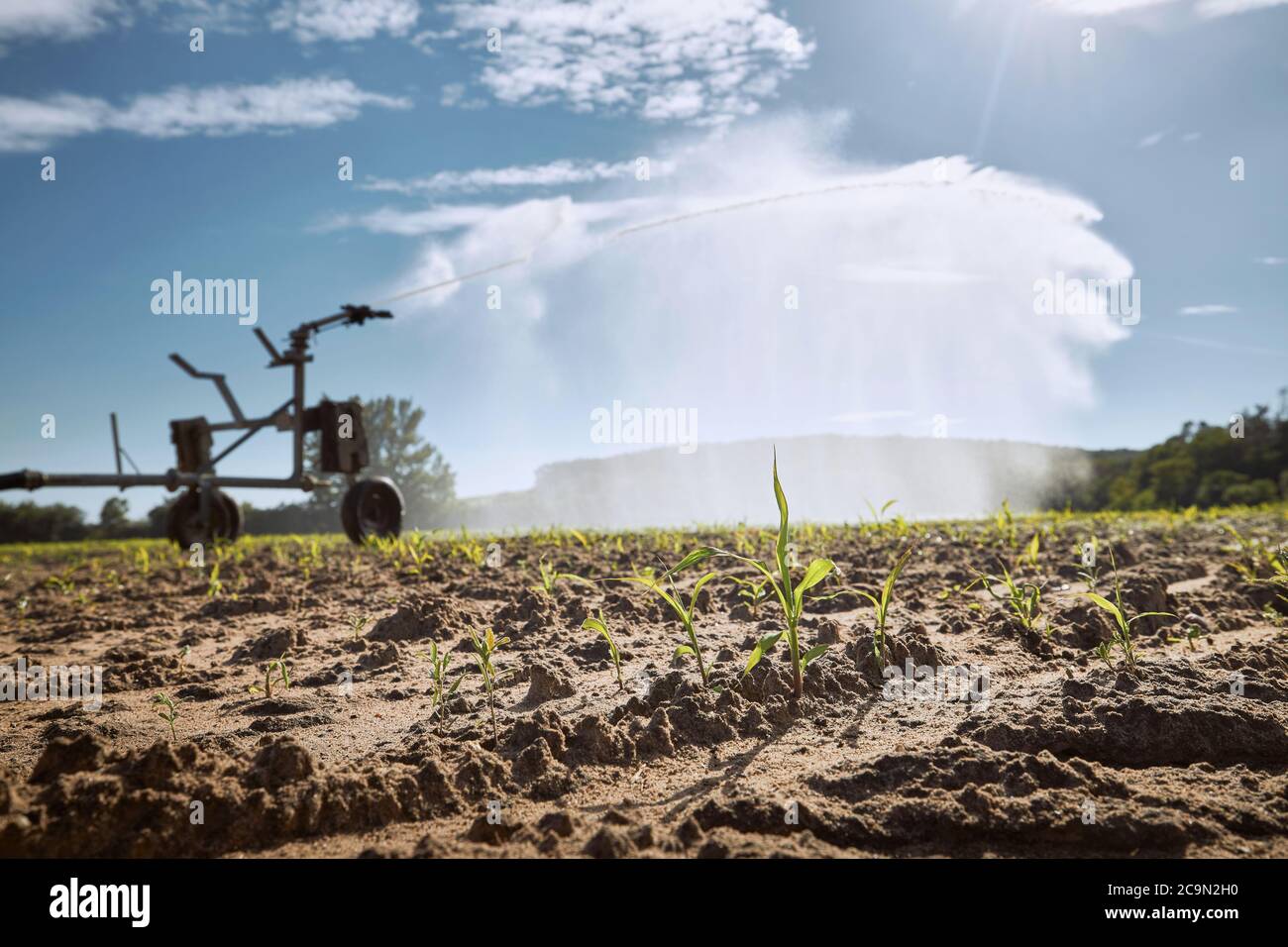 Agricultural irrigation machine spraying water on dry filed. Themes drought, environment and agriculture. Stock Photo