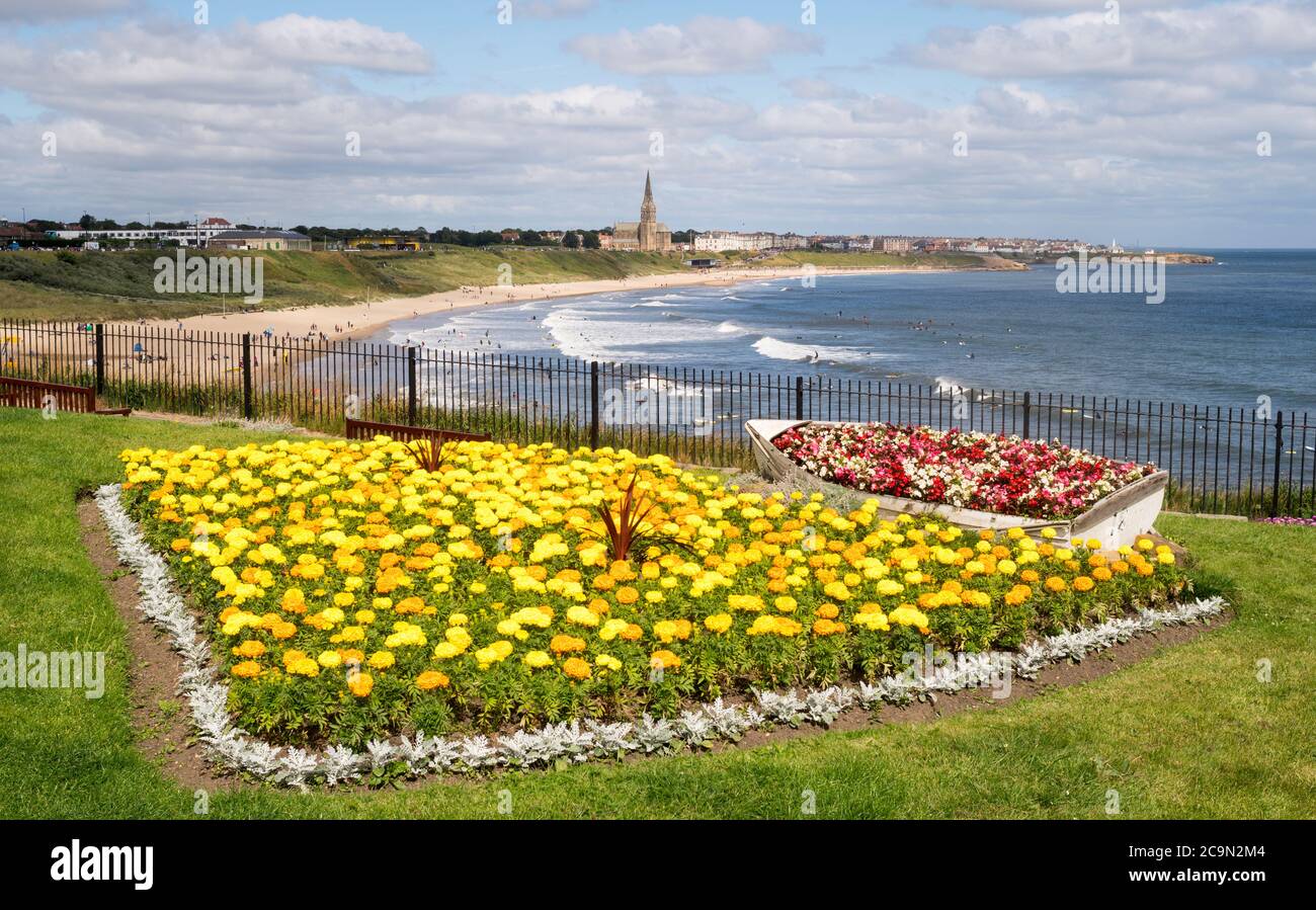 Floral display above the Longsands beach at Tynemouth, North Tyneside