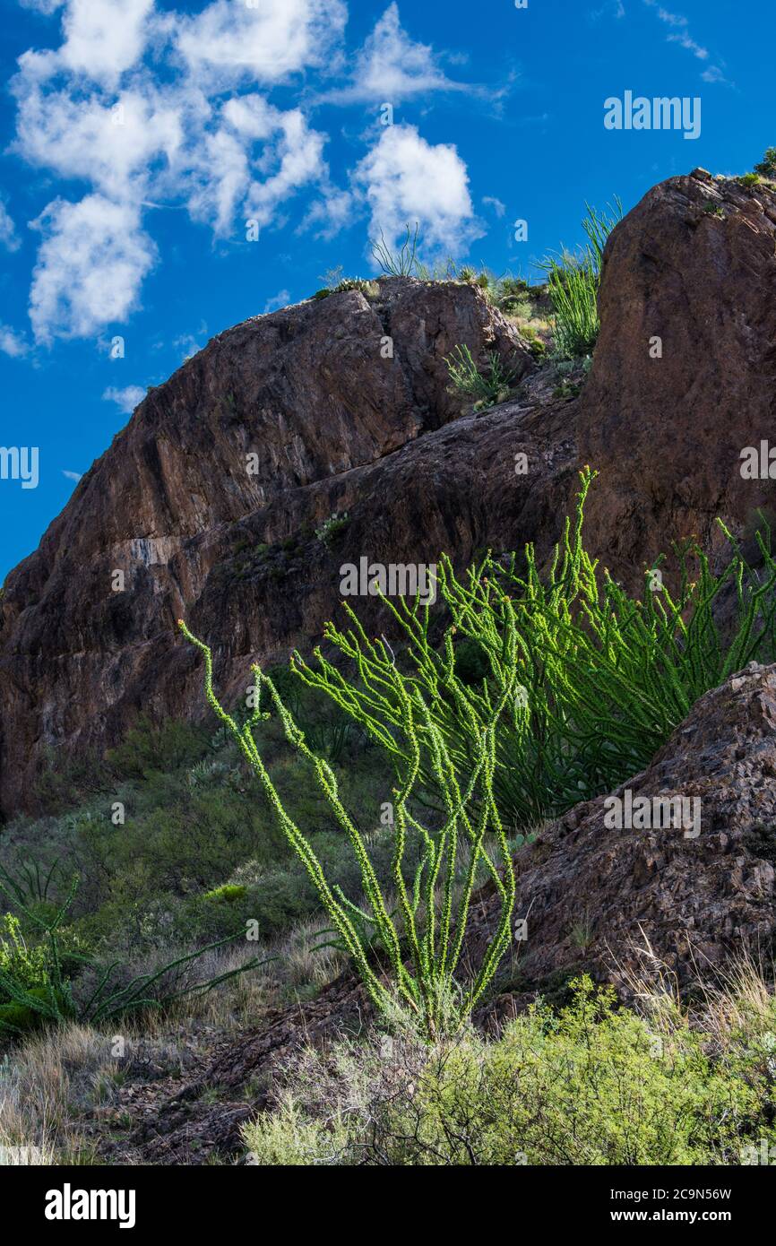 Dripping Springs trail, Las Cruces NM, # 8356 Stock Photo