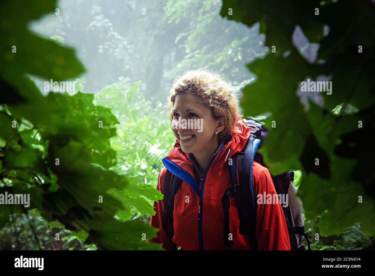 Close up of smiling female hiker in the rainforest Stock Photo - Alamy