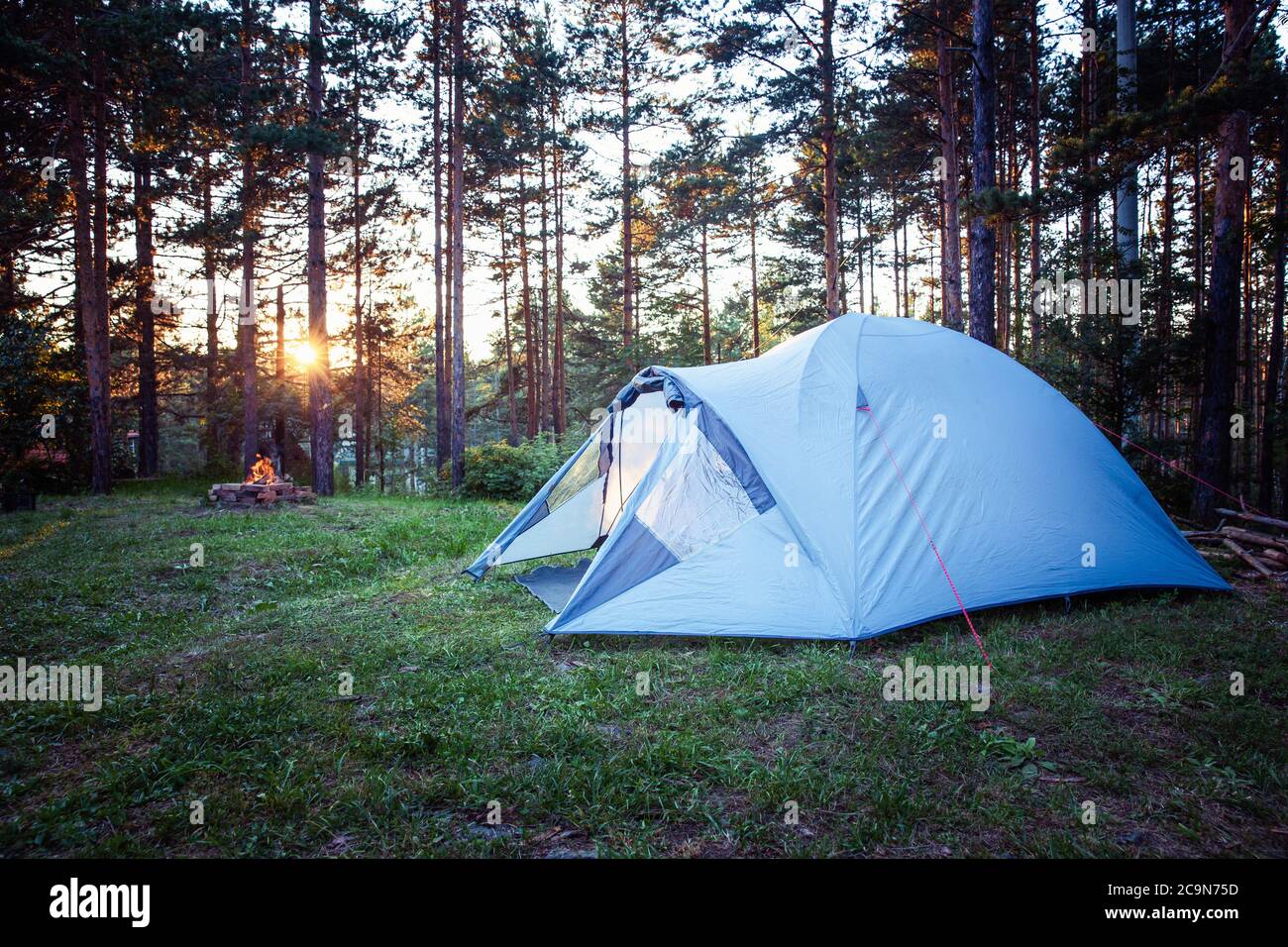 Camping tent in the mountain forest at sunrise Stock Photo - Alamy