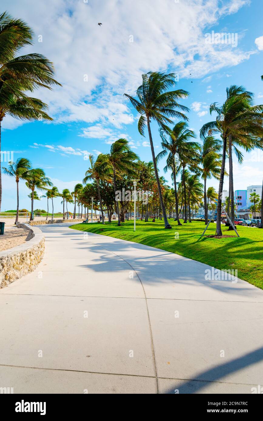 Walkway in beautiful Lummus Park in South Beach. Miami Beach, USA Stock Photo