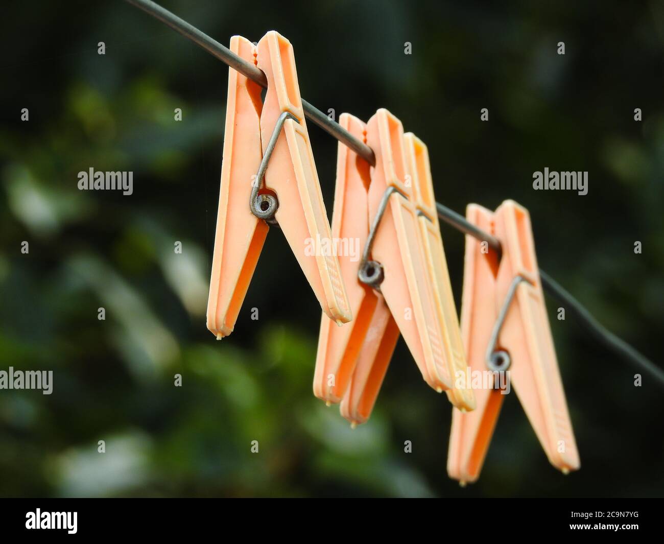 A close up shot of plastic cloth clips. These cloth clips prevent cloths from winds. Stock Photo