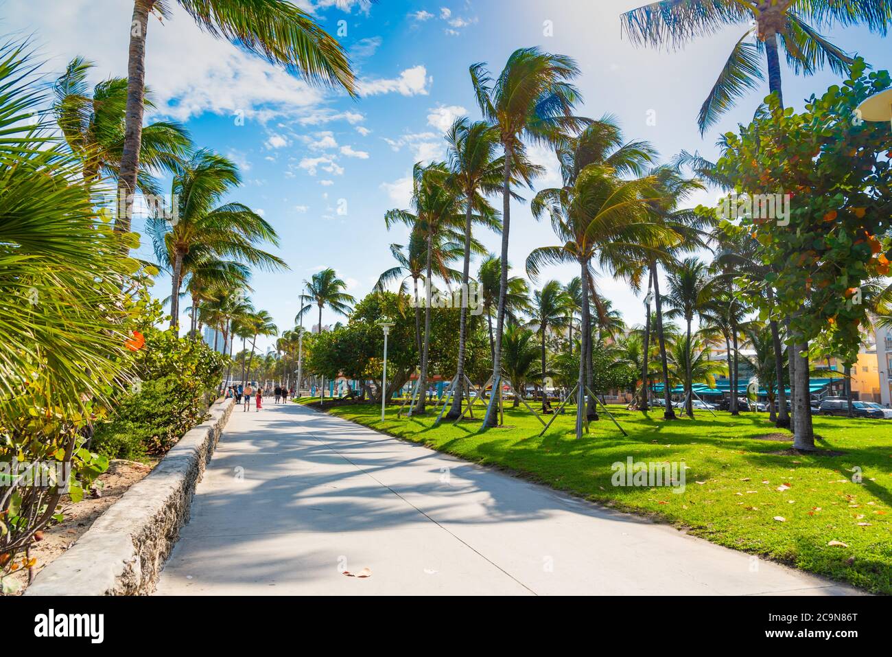 Pedestrian walkway in Lummus Park in Miami Beach, USA Stock Photo