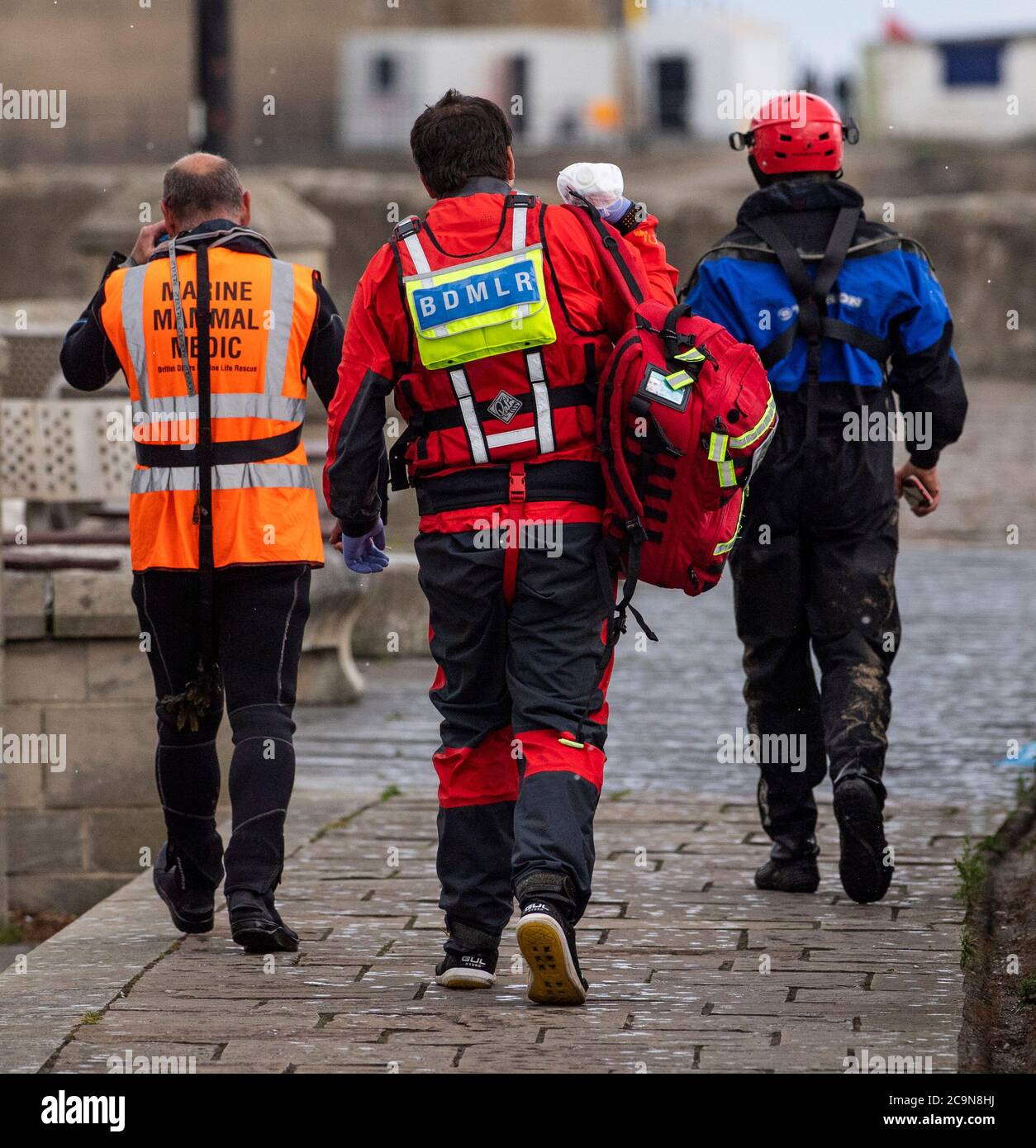 Hartlepool, UK - August 1st 2020: A member of the British Divers Marine Life Rescue and also a Marine Mammal Rescue Medic return to land after rescuin Stock Photo