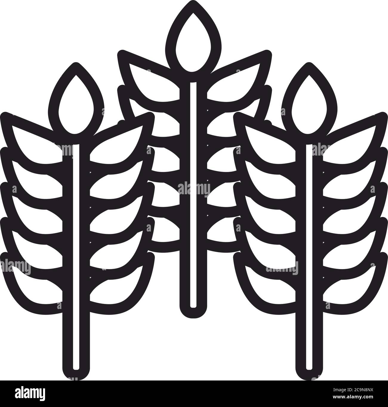 Wheat ears line style icon design, Food grain agriculture natural seed ...