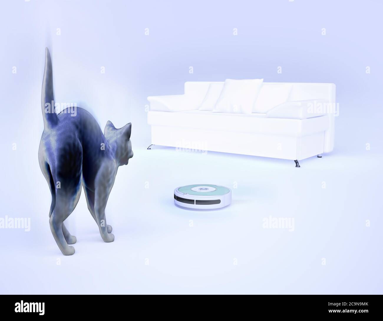 Scared black cat and smart vacuum cleaner Stock Photo Alamy