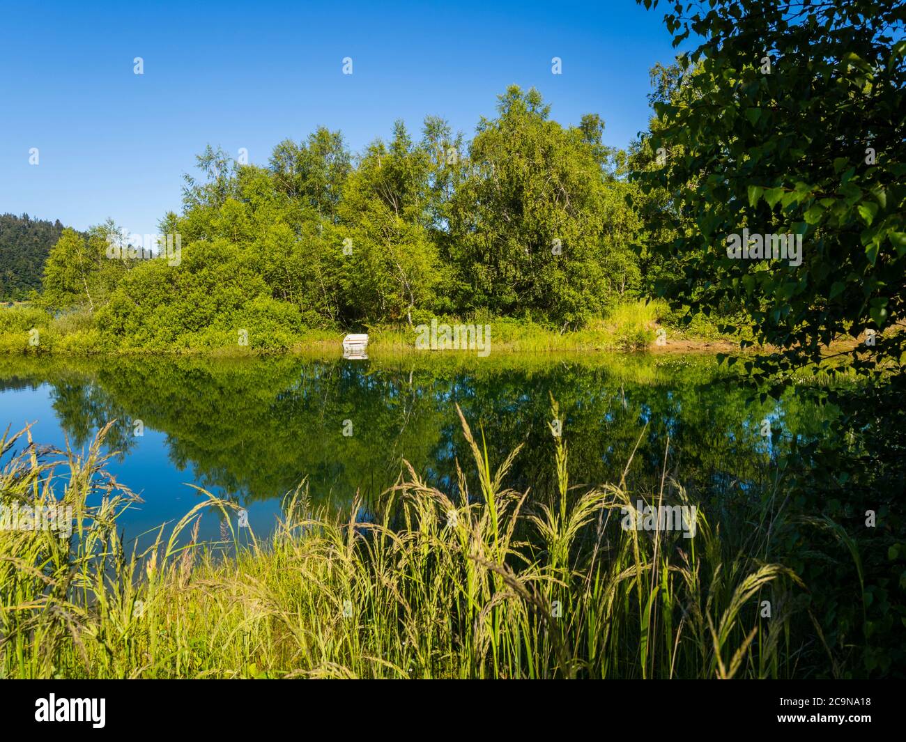 Beautiful nature of Lokve lake in Croatia Europe Stock Photo