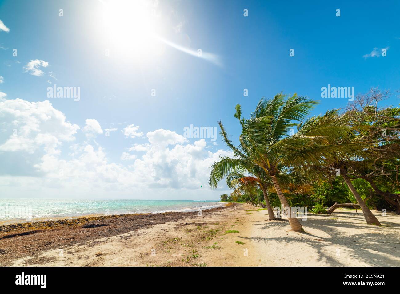 Sun shining over Pointe de la Saline beach in Guadeloupe, French west
