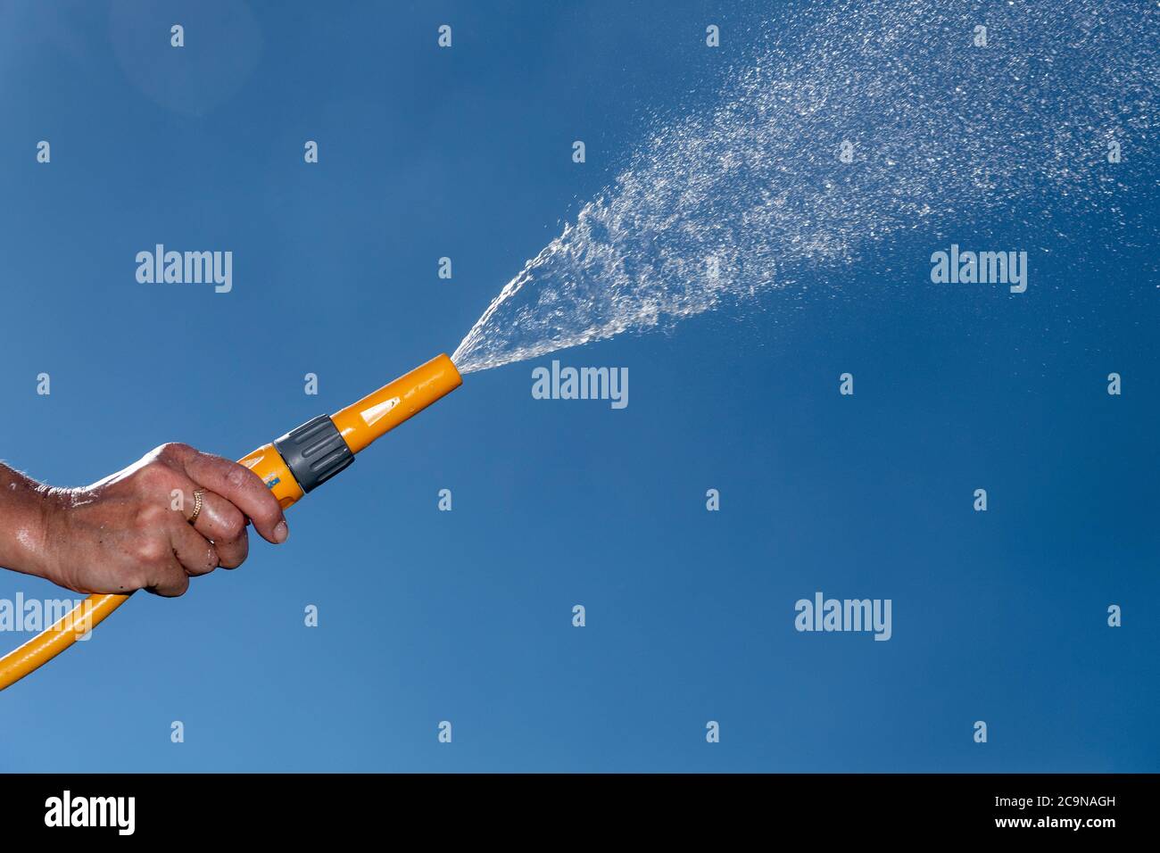 Spray from a garden hose hires stock photography and images Alamy