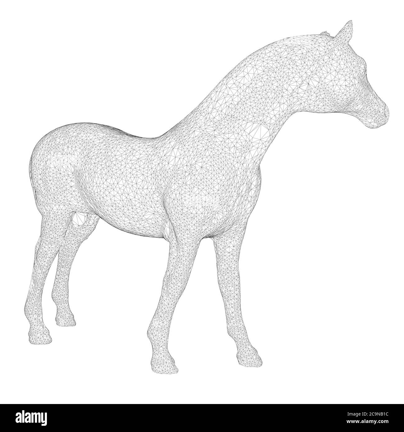 Horse frame made of black lines on a white background. Detailed horse from lines. 3D. Vector illustration. Stock Vector
