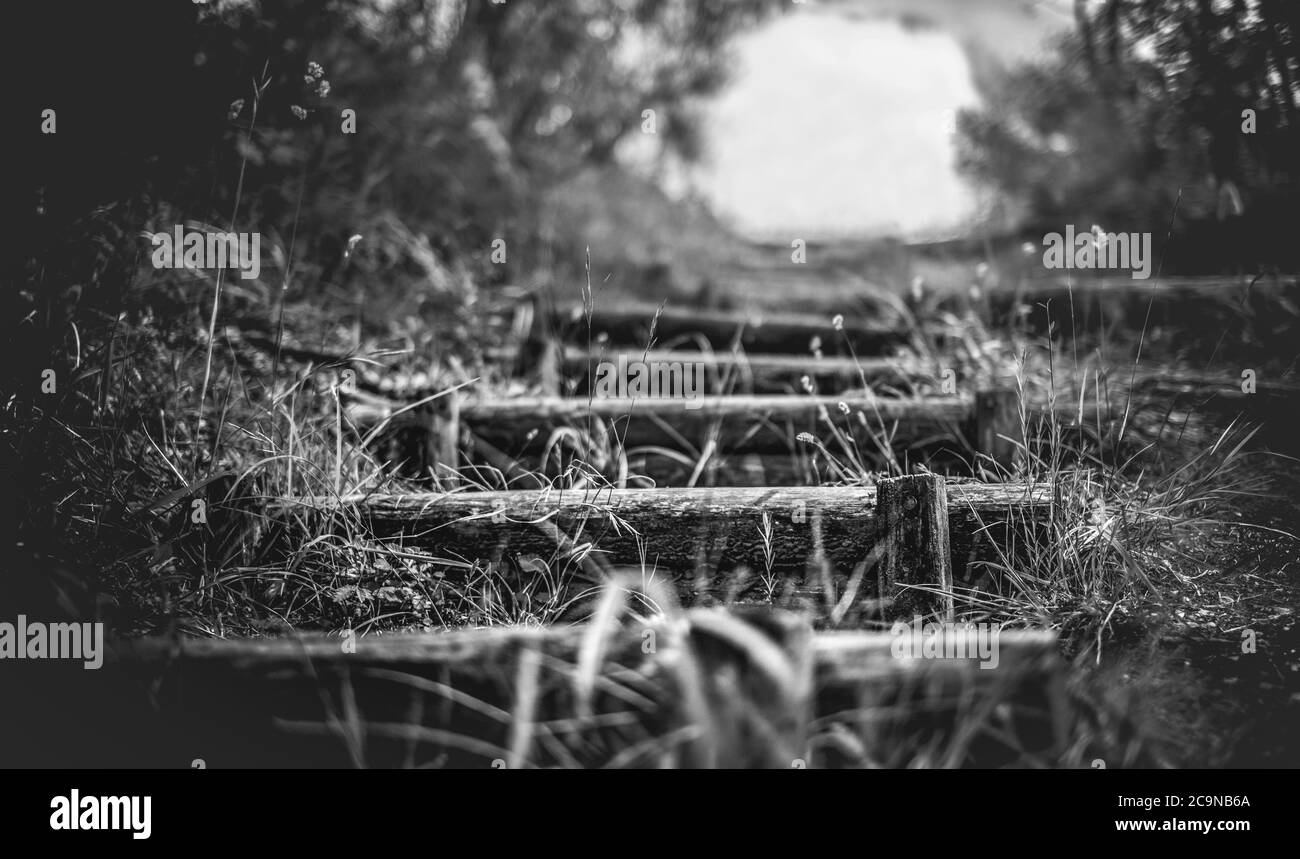 steps in the nature country trail landscapes black and white background horizontal Stock Photo
