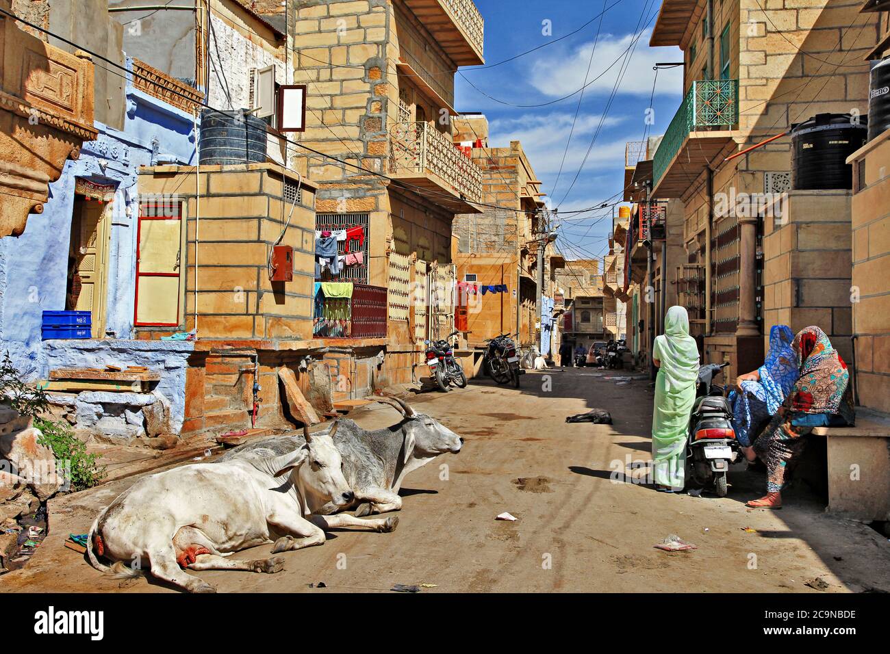 Daily life of Indian old town Jaisalmer. People and cows on the streets. Rajasthan Feb 2013. India Stock Photo