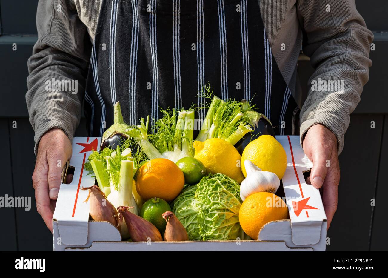 Man wearing apron delivering box of fresh fruit and vegetables: savoy cabbage, shallots, oranges, limes, lemons, fennel, aubergine Stock Photo
