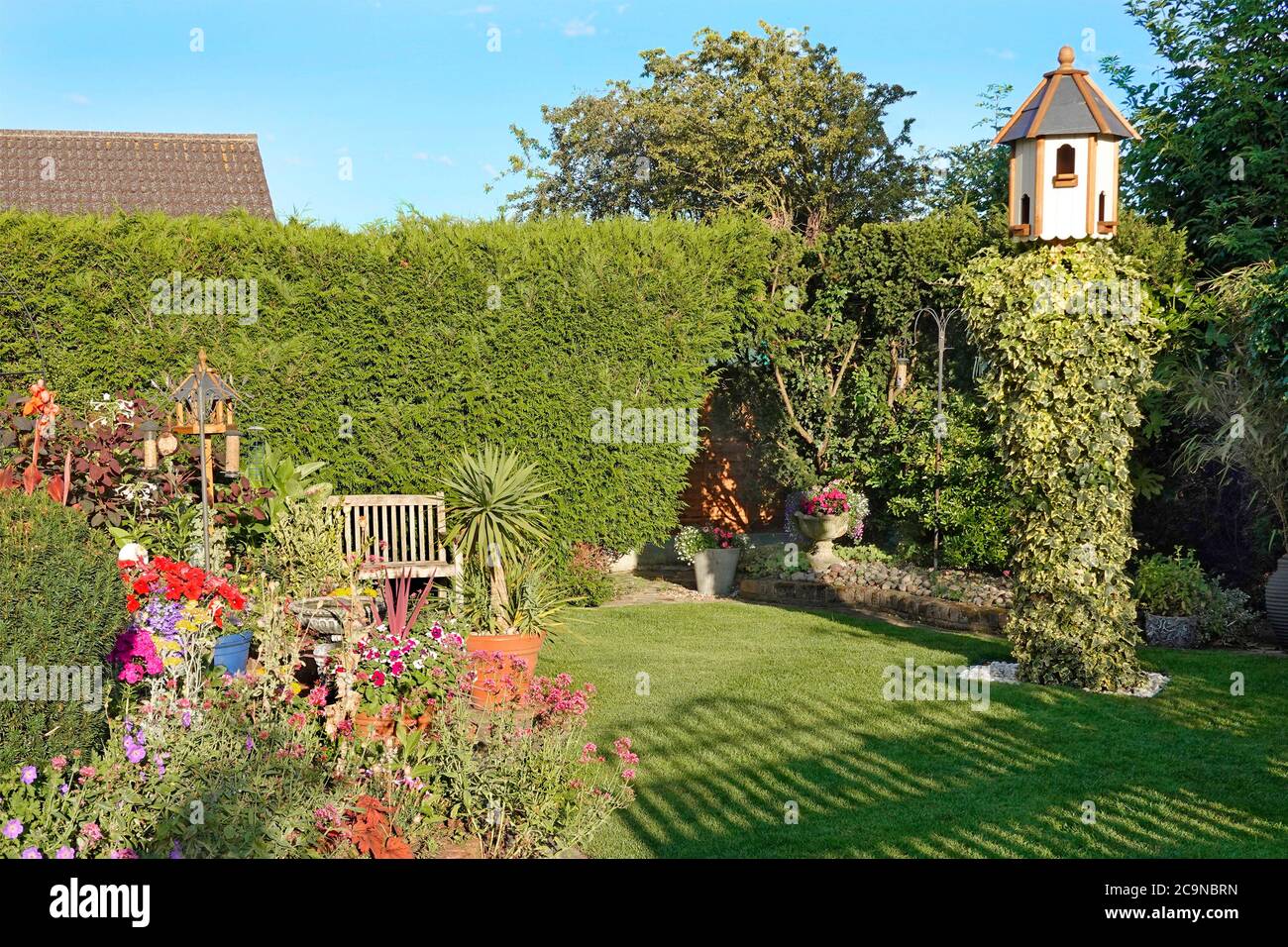 Thuja Plicata conifer hedge as backdrop to small English cottage back garden with summer perennials & lawn with seat Dovecote on  high tree stump* UK Stock Photo