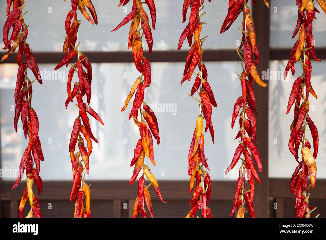 Dried red hot chili peppers at Japanese old village Uchiko town in