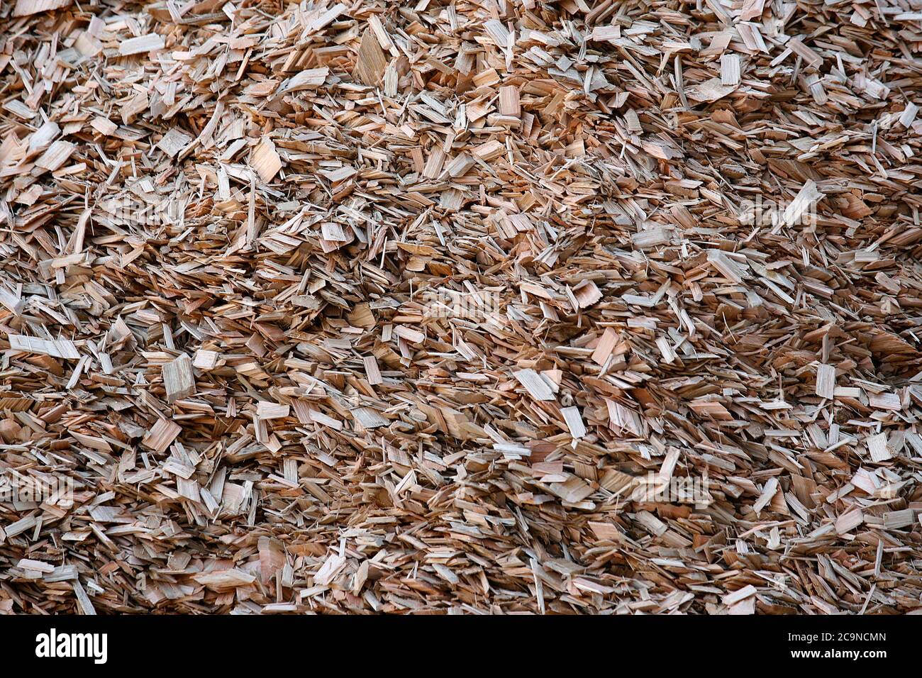 close of industrial eucalyptus chips woods Stock Photo Alamy
